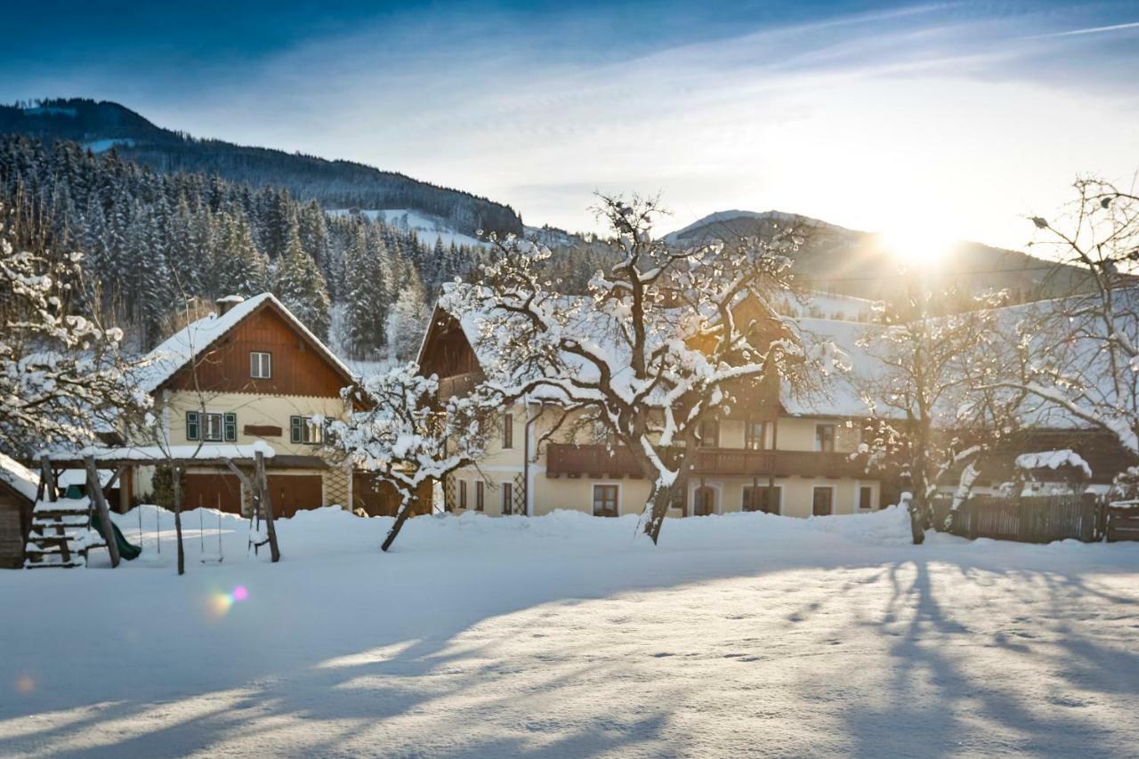 Moserhof Haus im Ennstal Exterior photo